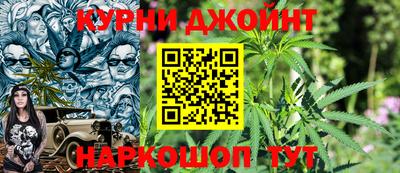 мяу мяу мука Моздок