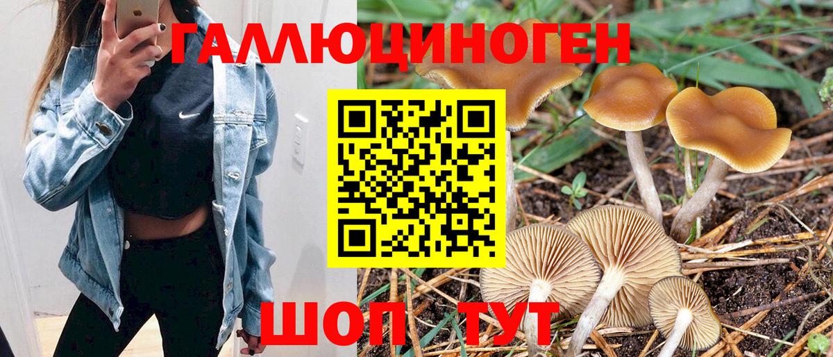Сыктывкар  Галлюциногенные грибы ЛСД  Галлюциногенные грибы прущие грибы  Вход с VPN 