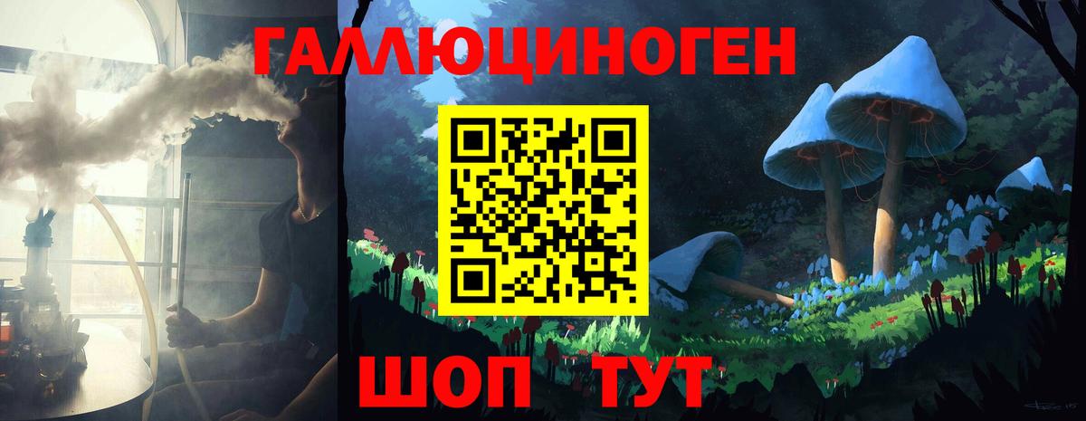 Псилоцибиновые грибы прущие грибы Сыктывкар